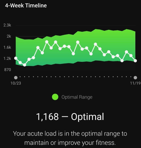 Garmin Acute Training Load